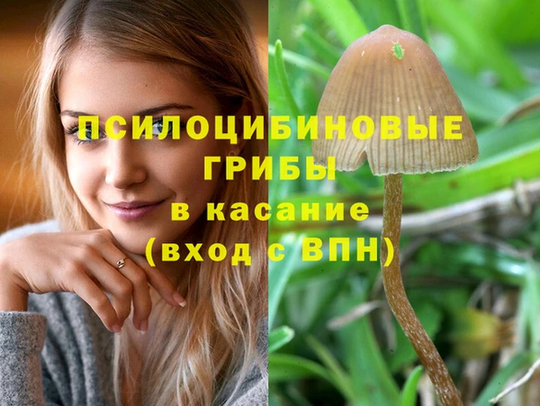 тгк Верхний Тагил